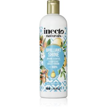 Inecto Argan șampon pentru un par stralucitor si catifelat 500 ml