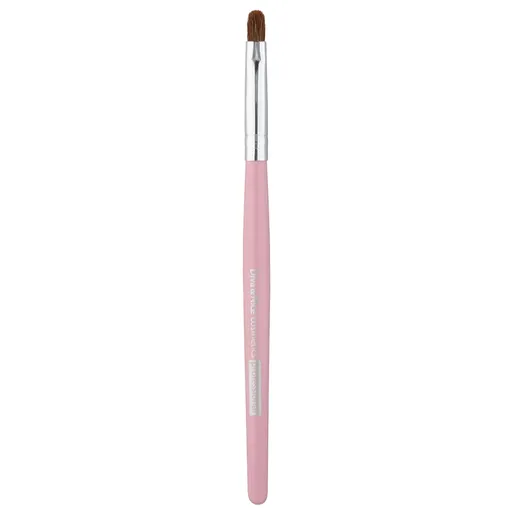 Diva & Nice Cosmetics Accessories Brush pensula pentru buze MAX 491/5 1 buc