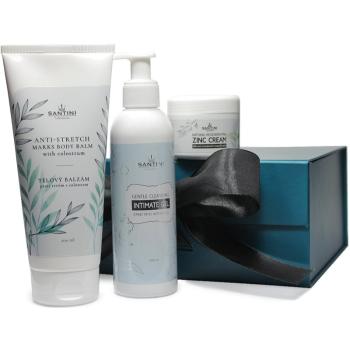 SANTINI Cosmetic Luxury Set set cadou pentru femei