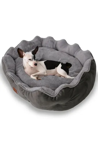 Pat pentru animale de companie, Paws & Whiskers, Elsa Dog L, Material exterior: 100% poliester, Antracit