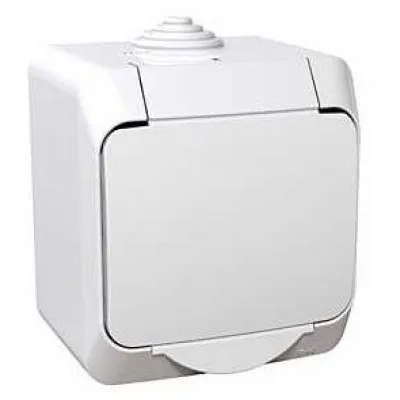 Priza simpla aparenta cu capac Cedar Plus Schneider WDE000541