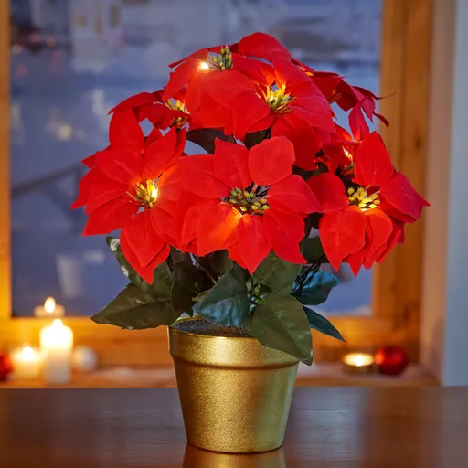 Stea de Crăciun LED în ghiveci