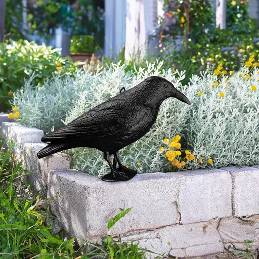 Sperietoare de păsări