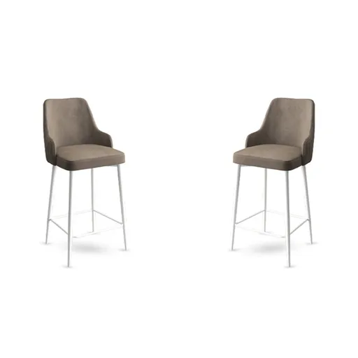 Set scaun de bar (2 bucăți), Hanah Home, Enox, Cappuccino / Alb