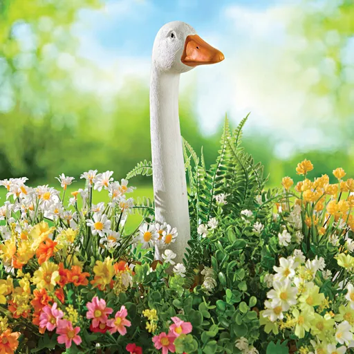 Ghiveci de grădină pentru gâște