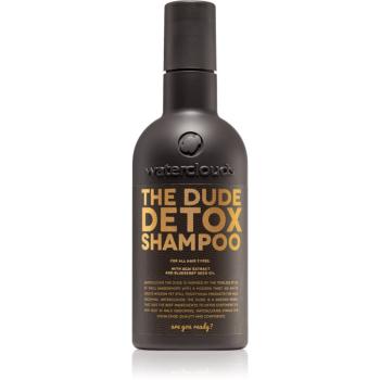 Waterclouds The Dude Detox Shampoo sampon detoxifiant pentru utilizare zilnica 250 ml