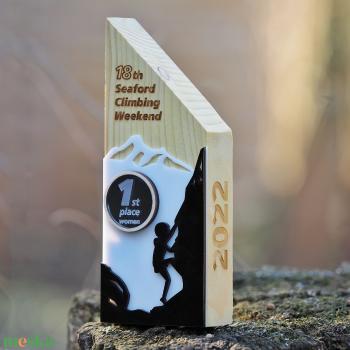 Díj, trófea, serleg, emlékkupa - céges vagy személyes célra