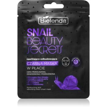 Bielenda Snail Beauty Secrets mască textilă hidratantă pentru piele uscata si iritata 1 buc