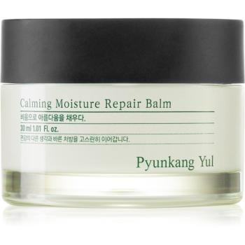 Pyunkang Yul Calming Moisture Repair Balm Balsam de buze regenerator di hidratant pentru piele sensibilă 30 ml