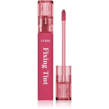 ETUDE Fixing Tint ruj cu persistență îndelungată cu efect mat culoare #11 Rose Blending 4 g