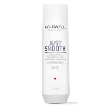 Goldwell Dualsenses Dualsenses Just Smooth (Taming Shampoo) Îngrijirea (Taming Shampoo) 1000 ml