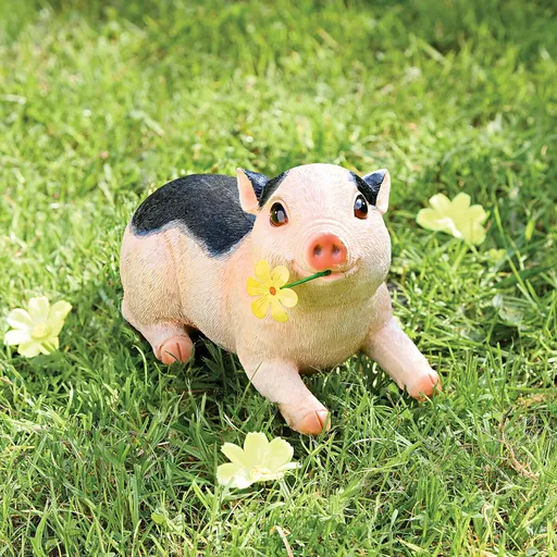 Bancă mică pentru purceluși