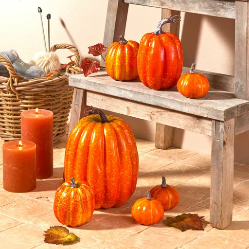 7 dovleci decorativi