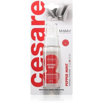 Mr & Mrs Fragrance Cesare Peppermint odorizant de camera pentru mașină 50 ml