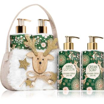 Vivian Gray Natural Christmas Green Tea & Citrus set cadou de maini