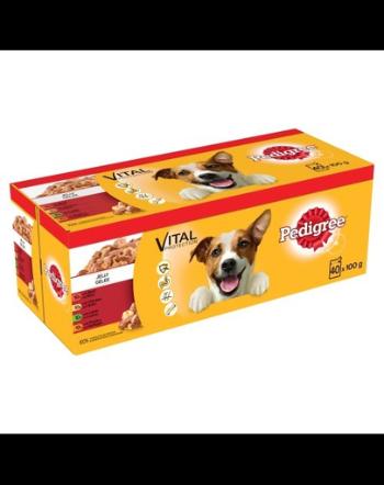 PEDIGREE Adult plicuri in aspic pentru caini 40x100g arome mixte vita, pui, miel, pasare