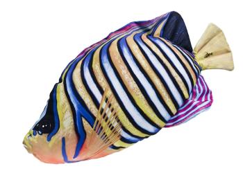 Gaby Polštář Pomec azurový mini 32 cm,Gaby Polštář Pomec azurový mini 32 cm