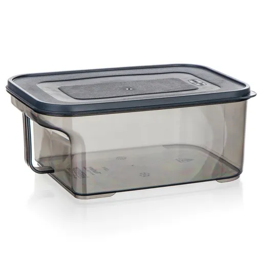 Banquet Cutie de depozitare cu mâner ZOYA 2,6 l,fumurie, 2,6 l