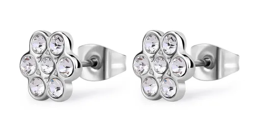 S'Agapõ Cercei din oțel cu un design delicat și cristale clare Aurora SAR48