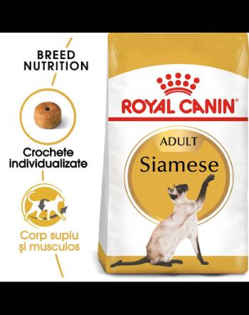 Royal Canin Siamese Adult hrana uscata pisica, 2 kg