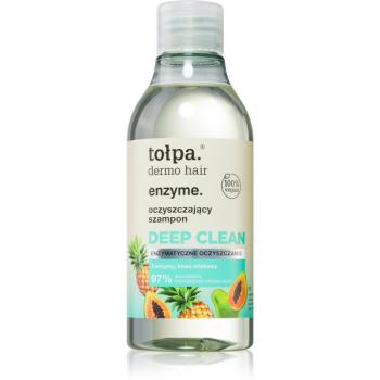 Tołpa Dermo Hair Enzyme curatarea profunda a scalpului pentru păr 300 ml