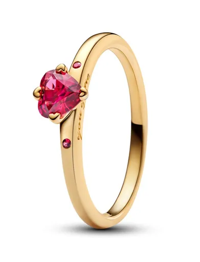 Pandora Inel romantic placat cu aur You & Me 166574C01 60 mm