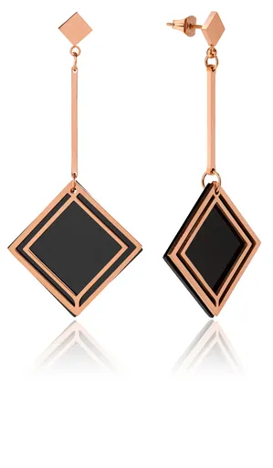 Troli Eleganti cercei bicolori din oțel