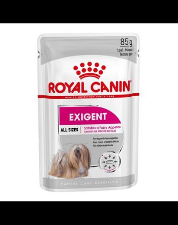 ROYAL CANIN Exigent pateu pentru câini adulți, pretențioși 24 x 85 g