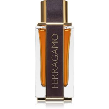 Ferragamo Ferragamo Spicy Leather Eau de Parfum pentru bărbați 100 ml