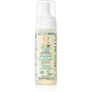 Natura Siberica Mint, Bereza & Retinol spuma exfolianta pentru fata pentru scalp 170 ml