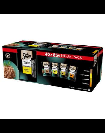 SHEBA Delicacy Poultry Flavours plicuri pisici 40x85 g hrana umeda completa pentru pisici adulte, bucati de rata, pui, pasare si curcan in jeleu