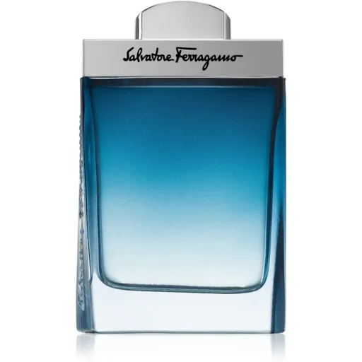 Ferragamo Subtil Pour Homme Eau de Toilette pentru bărbați 100 ml