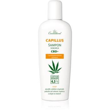 Cannaderm Seborea CBD+ șampon anti matreata 150 ml