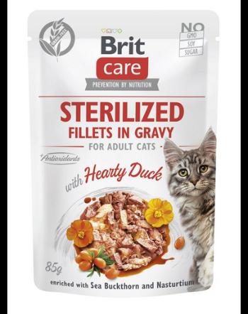 BRIT CARE Fillets in Gravy Pouch Sterilized Hearty Duck 24x85g Plicuri hrana pisici sterilizate, cu rata