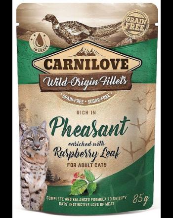 CARNILOVE Pheasant&amp;Raspberry leaves 24 x 85 g hrana umeda pentru pisici, fazan si frunze de zmeura