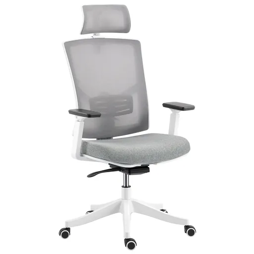 HOMCOM Scaun de Birou Ergonomic și Respirabil cu Suport Lombar Dinamic 4D, 64.5x62.5x112-122 cm, Multicolor | Aosom Romania