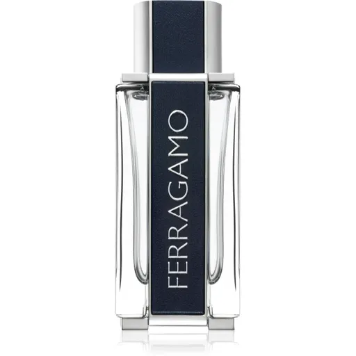 Ferragamo Ferragamo Eau de Toilette pentru bărbați 100 ml
