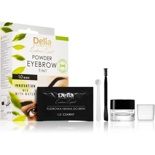 Delia Cosmetics Eyebrow Expert vopsea de sprancene culoare 1.0 Black 4 g