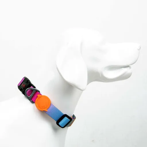 Zgarda pentru câini, Paws & Whiskers, Pass, Poliester, Multicolor