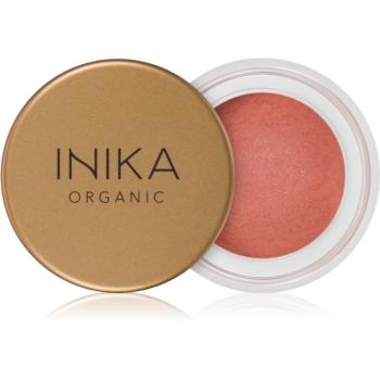 INIKA Organic Lip & Cheek machiaj multifuncțional pentru ochi, buze și față culoare Dust 3,5 g