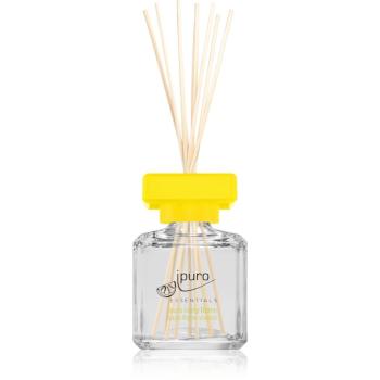 ipuro Essentials Lively Rome difuzor de aroma 50 ml