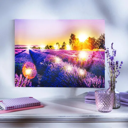 Tablou LED Câmp de lavandă