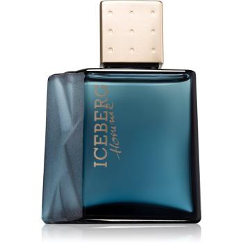 Iceberg Homme Eau de Toilette pentru bărbați 100 ml