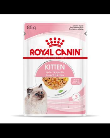 Royal Canin Kitten Instinctive In Jelly hrana umeda in aspic pentru pisica, 12 x 85 g