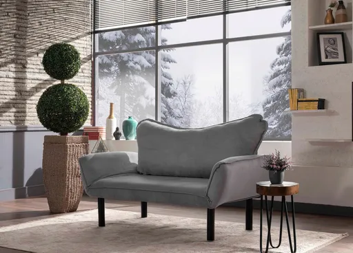 Canapea extensibila 2 locuri, Atelier del Sofa, 859FTN1229, Gri