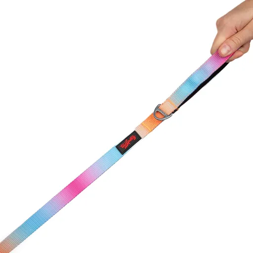 Lesă pentru câini, Paws & Whiskers, Pass Small, Poliester, Multicolor