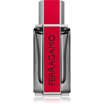 Ferragamo Red Leather Eau de Parfum pentru bărbați 100 ml