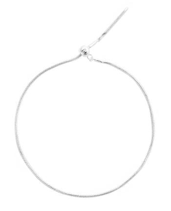 Daniel Wellington Brățară de argint pentru pandantive model Șarpe Charms DW00401047