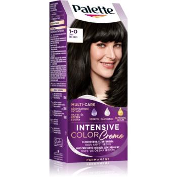 Schwarzkopf Palette Intensive Color Creme Culoare permanenta pentru par culoare 1-0 N1 Black 1 buc