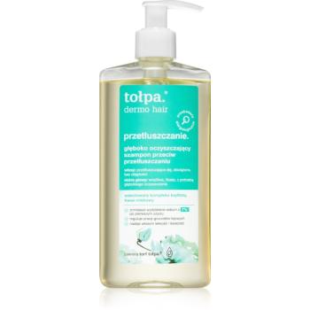 Tołpa Dermo Hair curatarea profunda a scalpului pentru par gras 250 ml